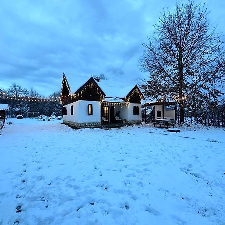 Cuib Din Fagaras Villa Avrig Exteriör bild